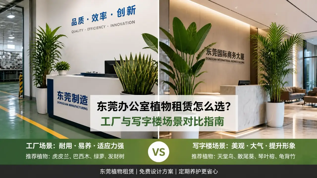 东莞绿植租摆怎么配？镇区工厂和市区写字楼真不是一套打法
