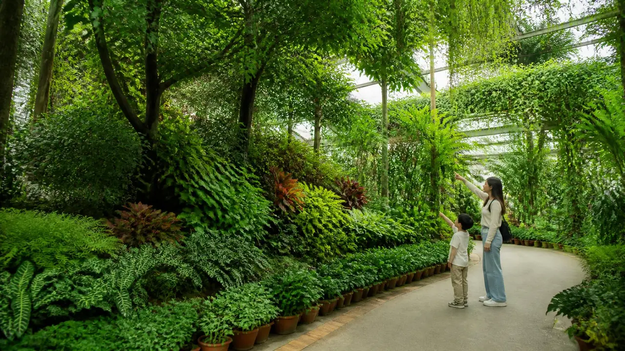 绿植生态园怎么逛？看层次、学组团、拍细节，能带回家的三招造景思路
