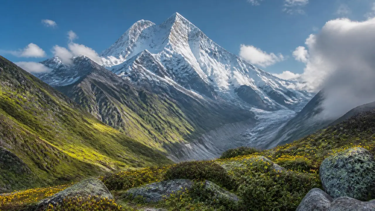 珠穆朗玛峰长绿植吗？雪线之上不长，冰缘才有点绿