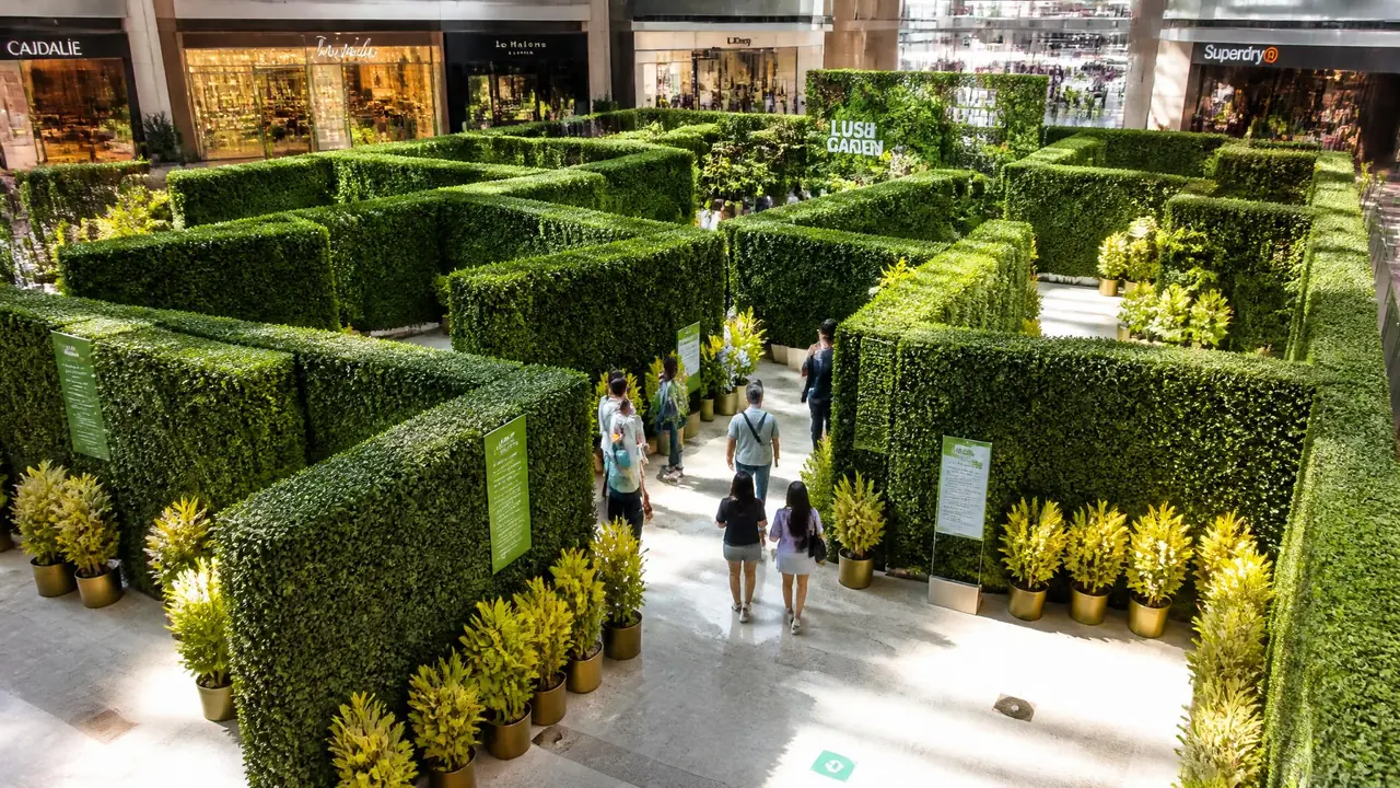 绿植迷宫租赁怎么报价？拆开面积、损耗和验收三本账