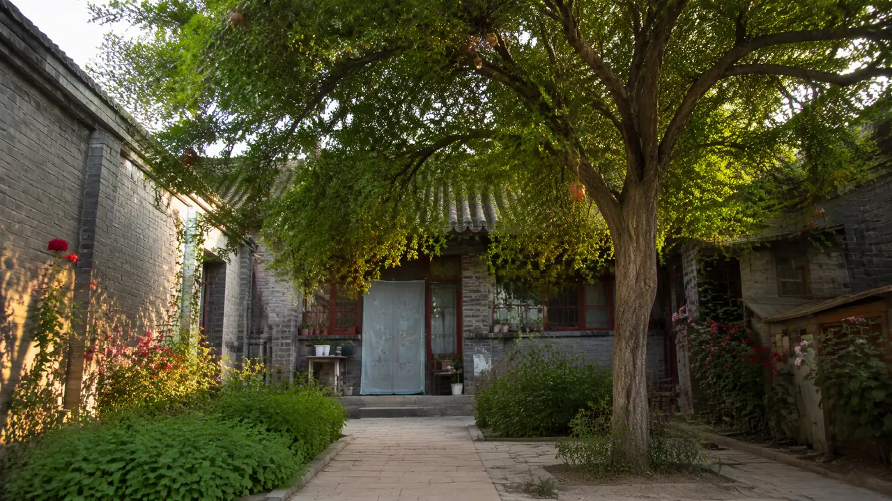 庭院绿植风水讲究在哪？院里种树的老说法和栽种实际账