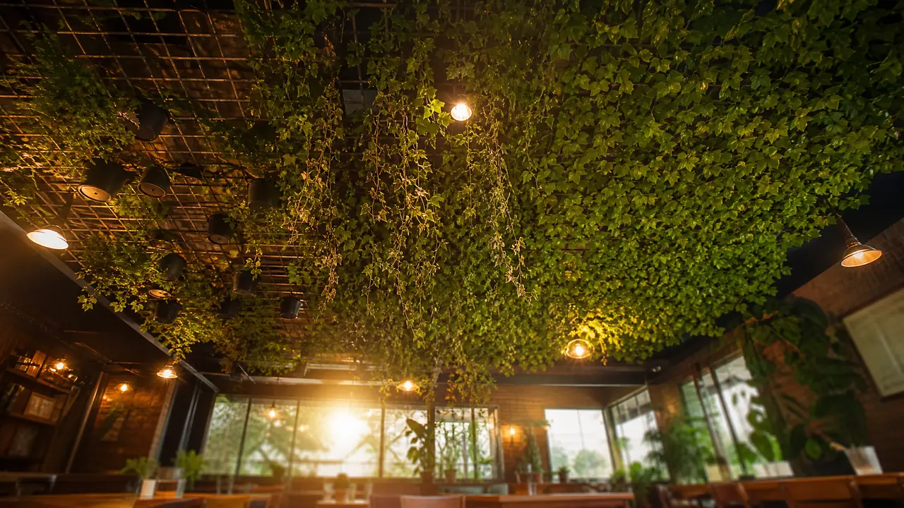仿真绿植吊顶效果图别白看：三种做法和仰视视角的坑